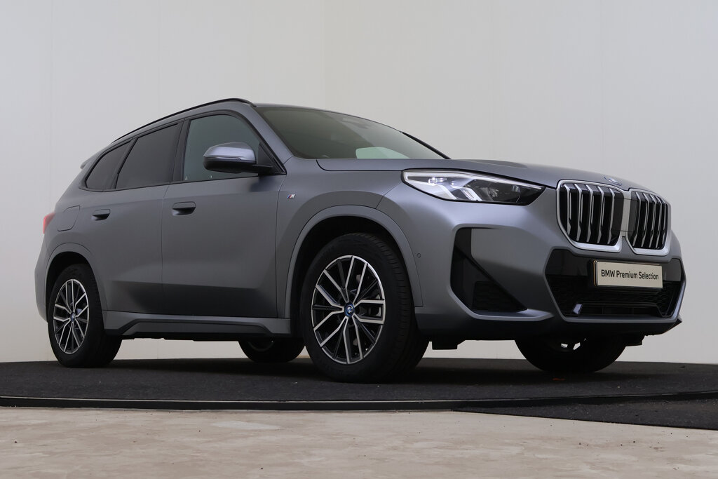 BMW X1 10