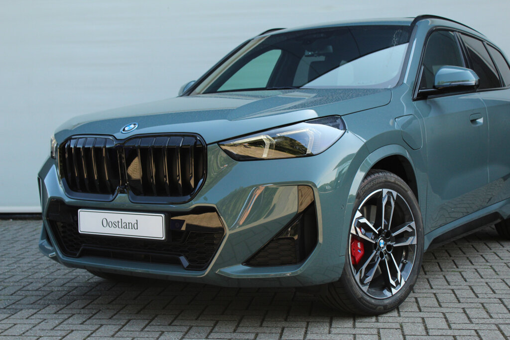 BMW X1 9