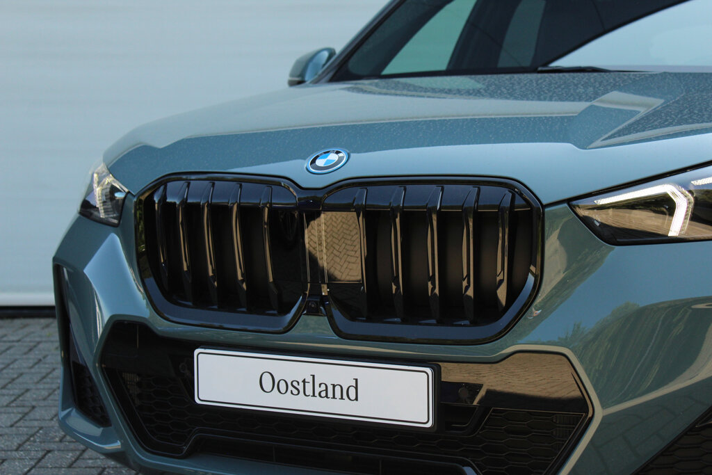 BMW X1 10