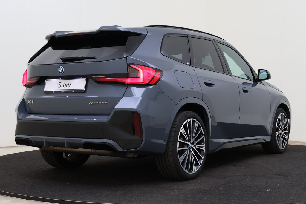 BMW X1 2