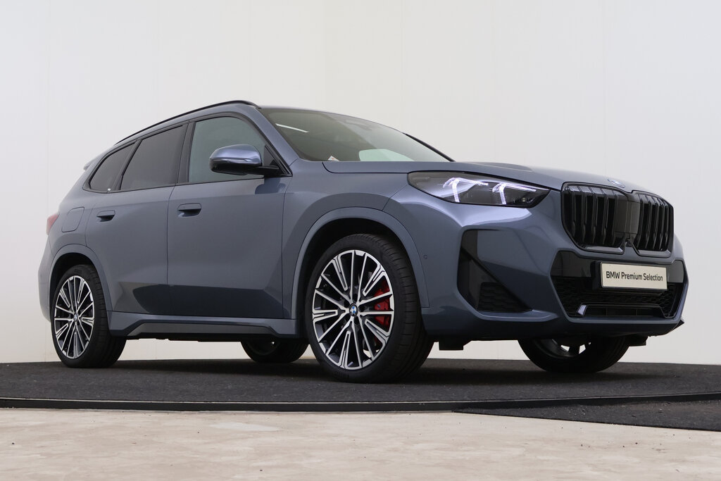 BMW X1 10