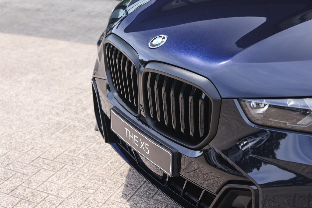 BMW X5 31