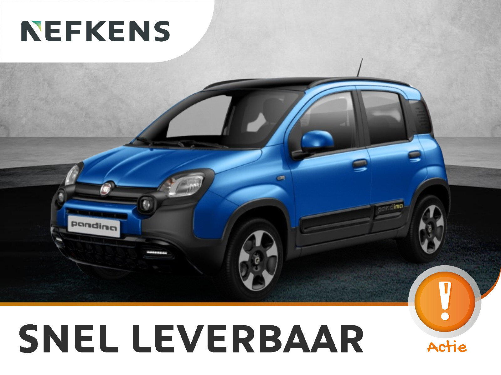 Fiat Pandina Cross