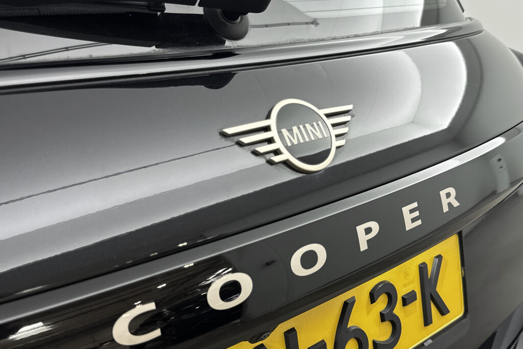MINI 3-Deurs 18