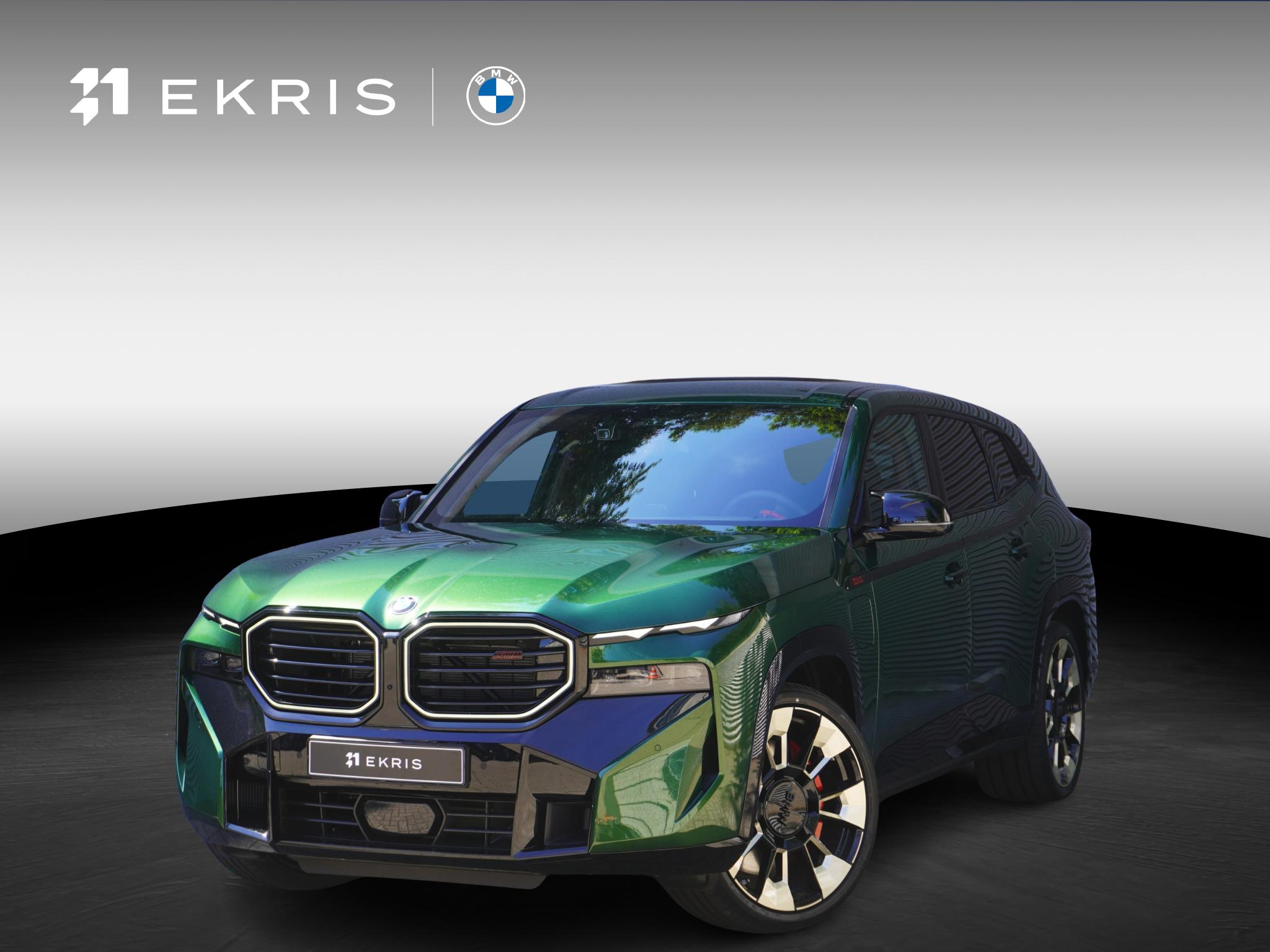 BMW XM PHEV Label