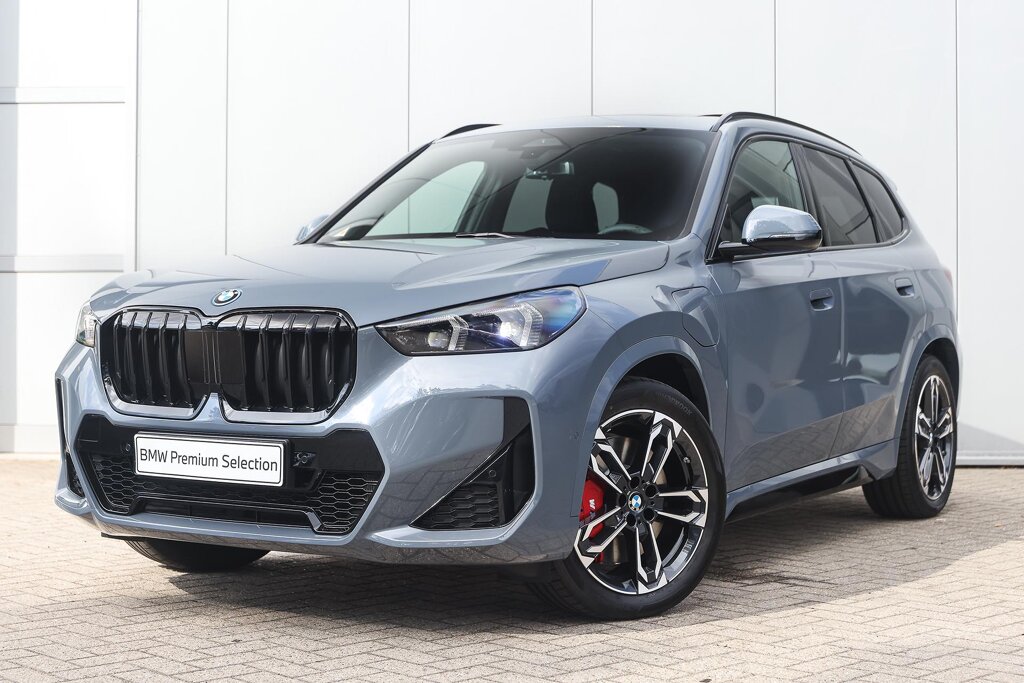 BMW X1 1