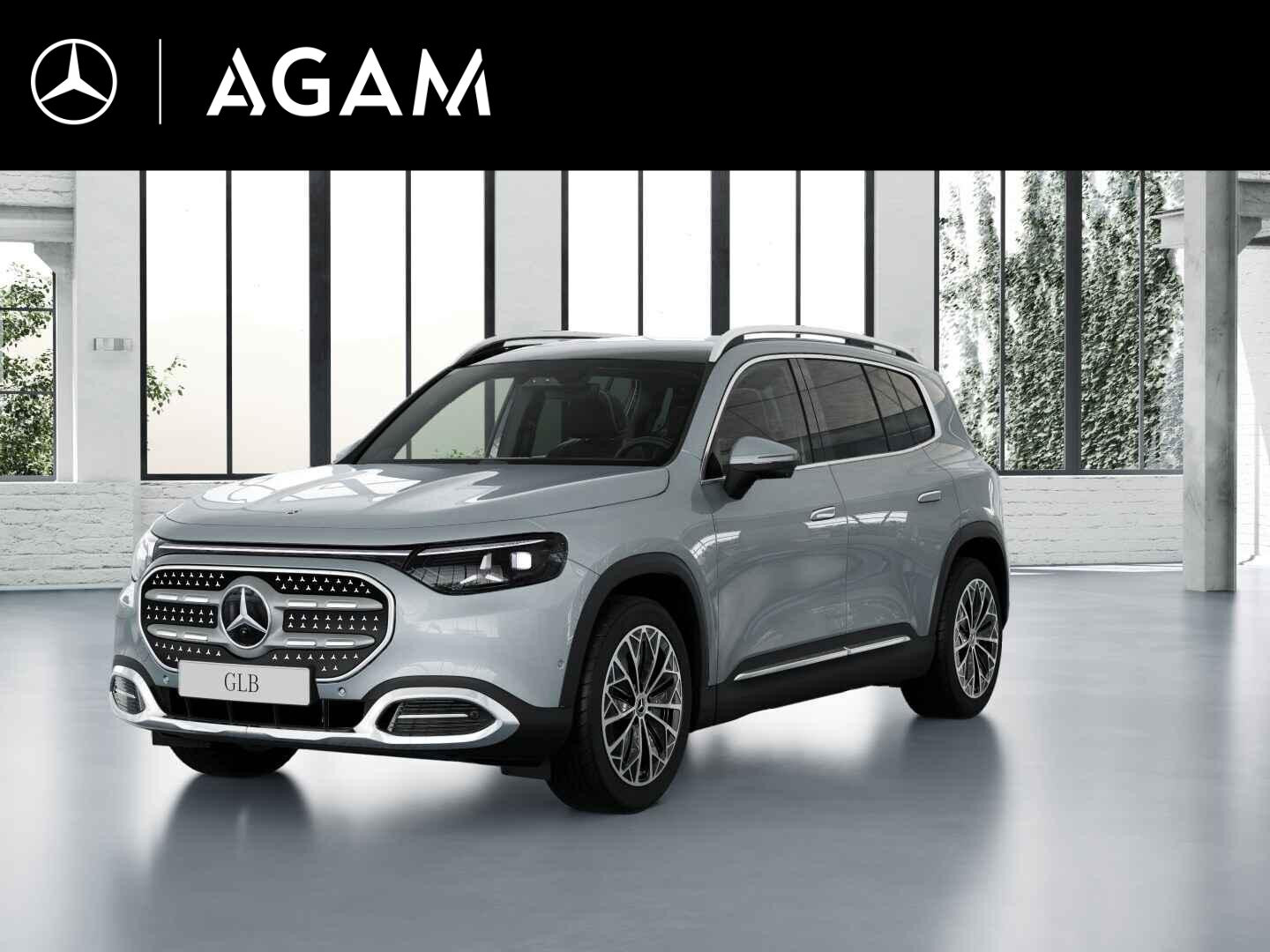 Mercedes-Benz GLB electric 250+ Business Solution 85.5 kWh