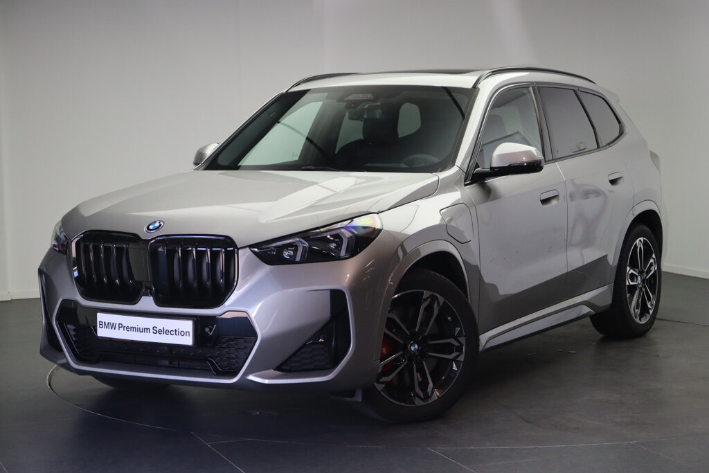BMW X1 1