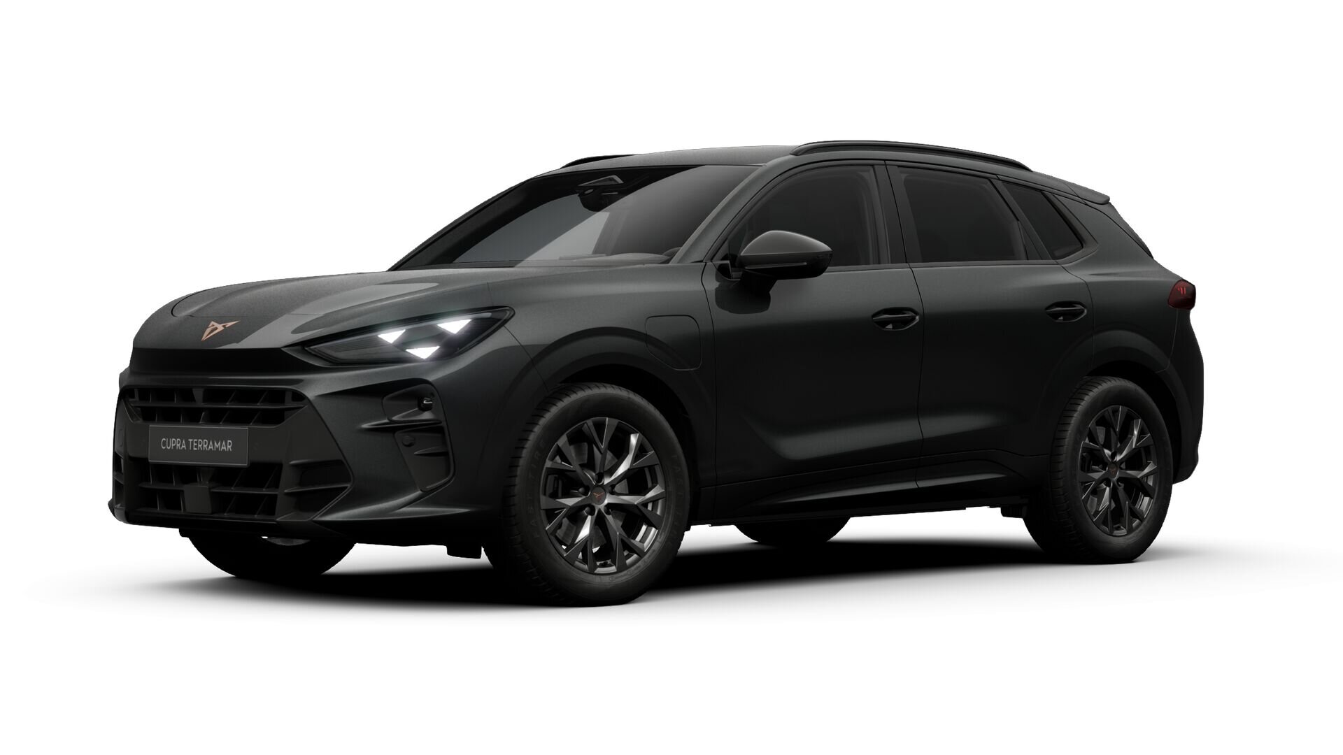 CUPRA Terramar Business Limited - Afbeelding 2