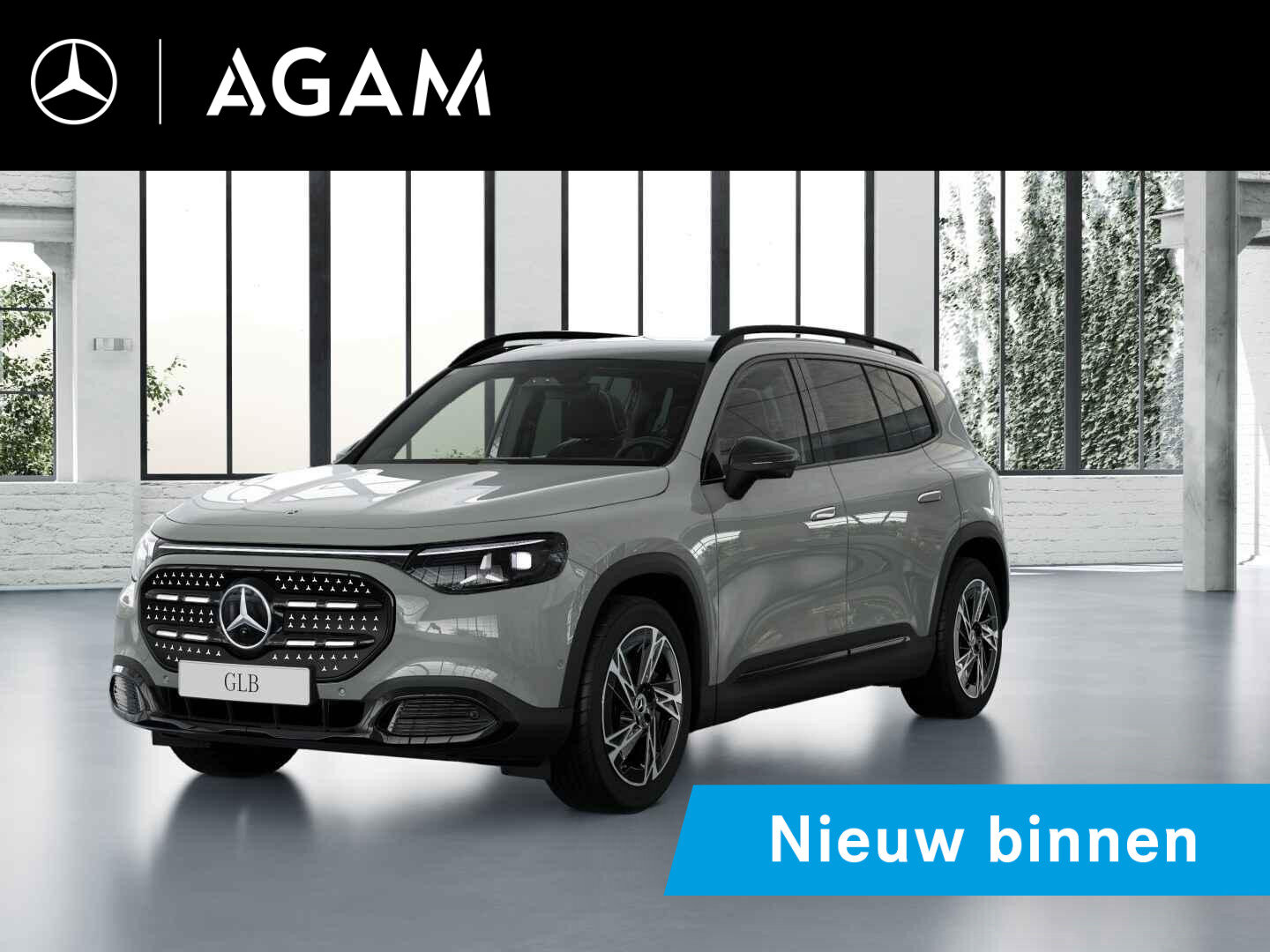 Mercedes-Benz GLB electric 250+ Business Solution Luxury 85.5 kWh