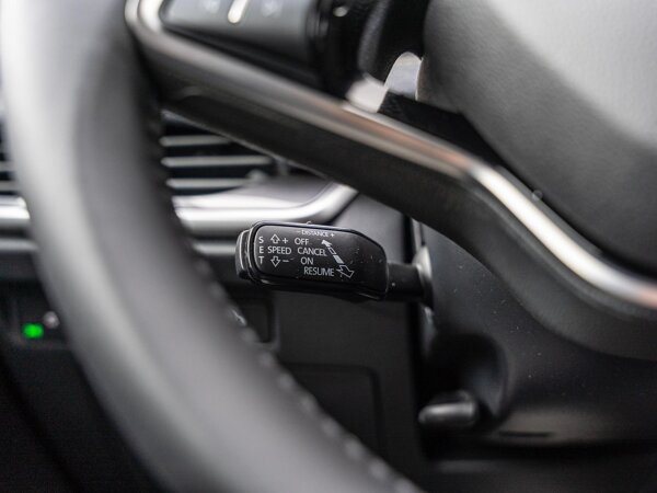 cruise control adaptief met Stop&Go en stuurhulp cruise control adaptief met Stop&Go en stuurhulp