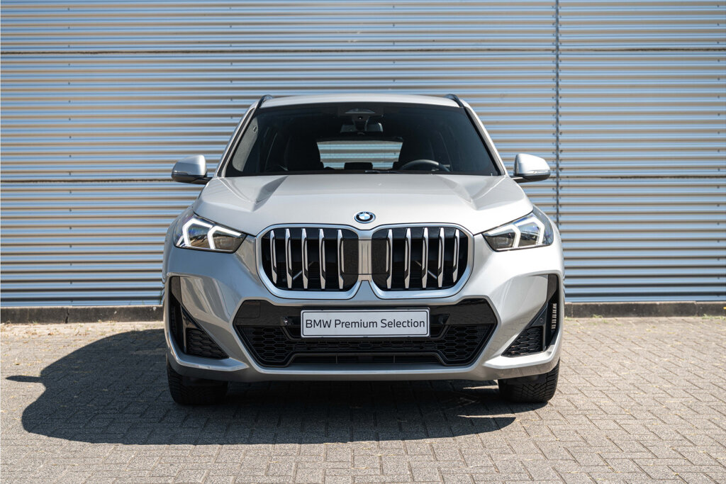 BMW X1 10