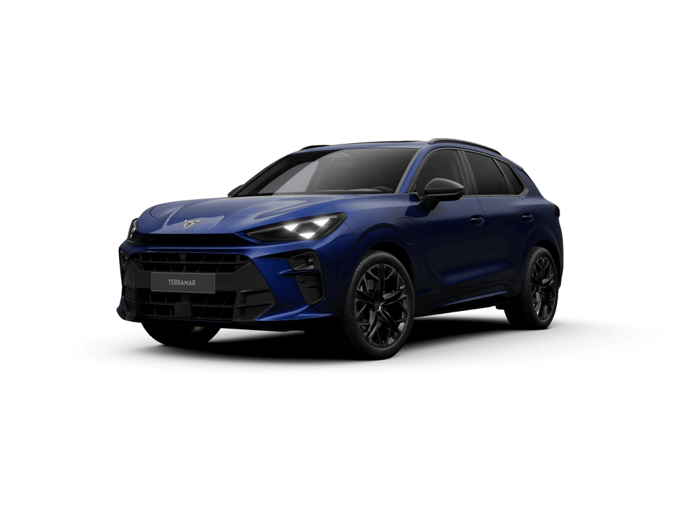 CUPRA Terramar Business - Afbeelding 1