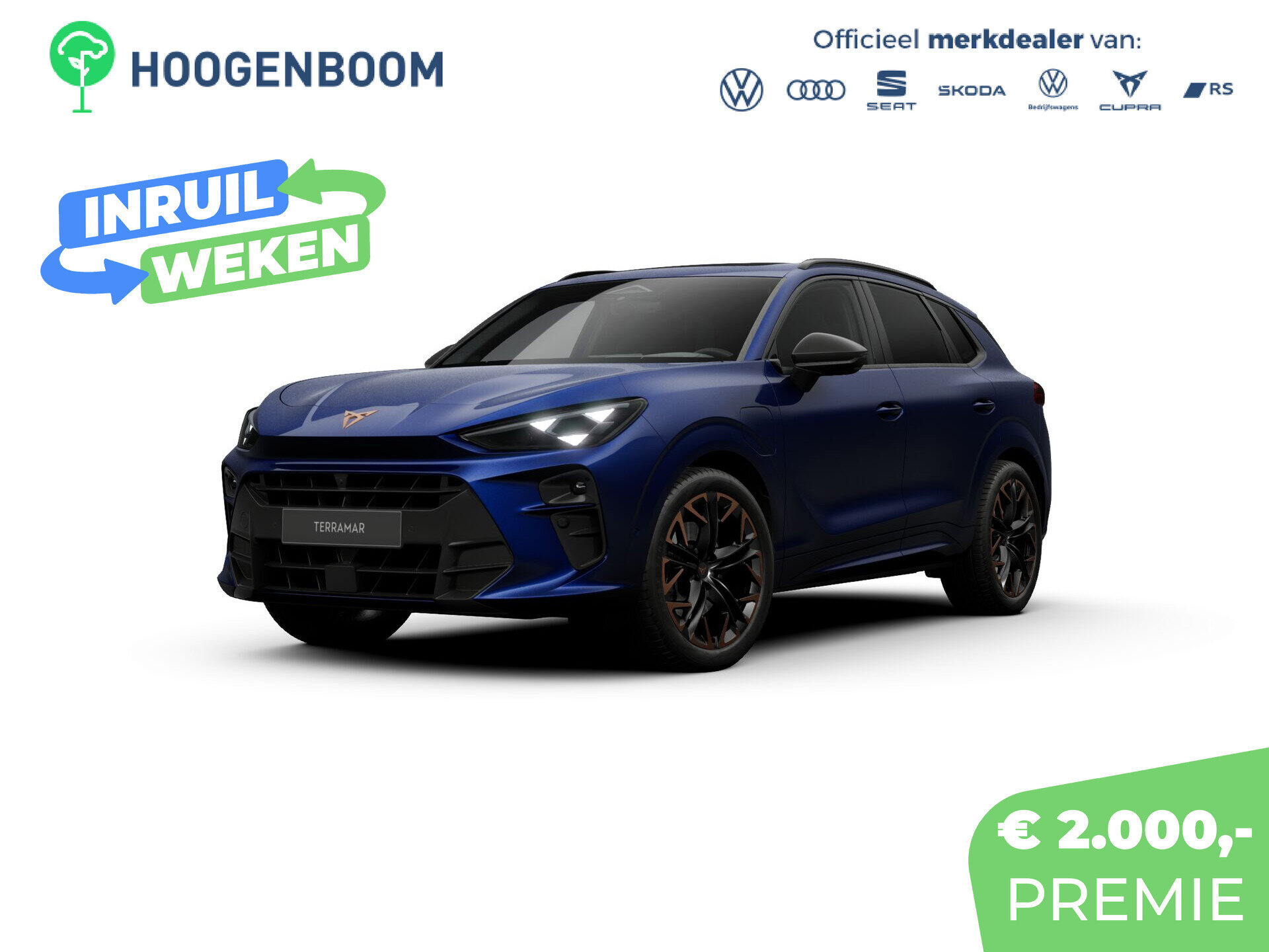 CUPRA Terramar Business - Afbeelding 1