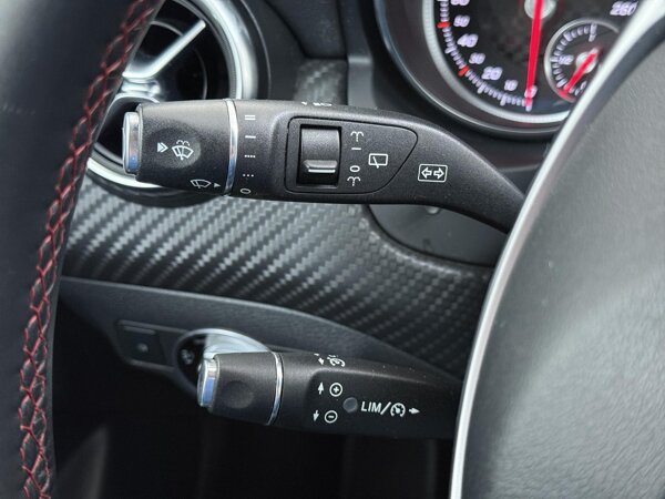 Cruisecontrol met SPEEDTRONIC