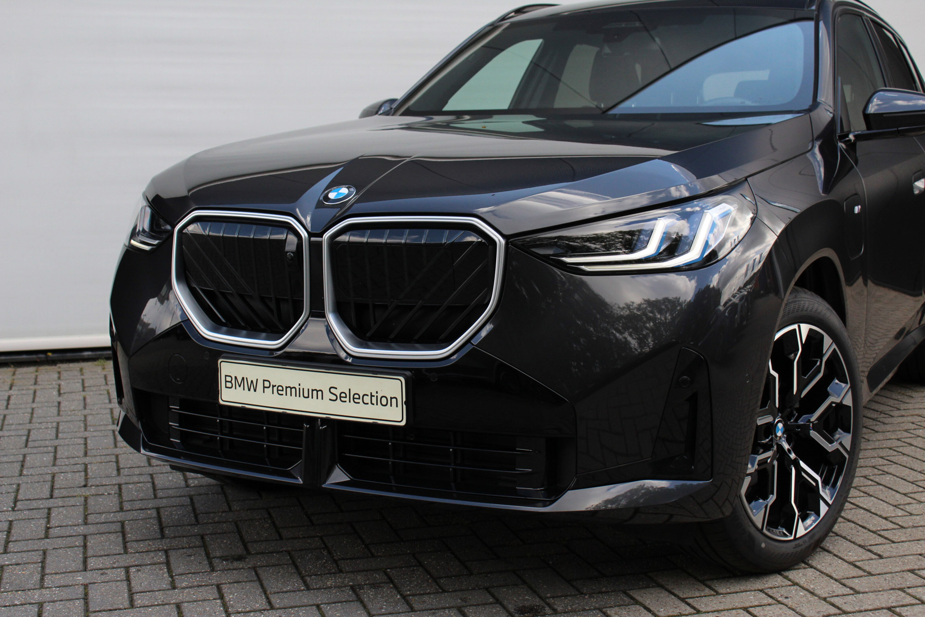 BMW X3 8