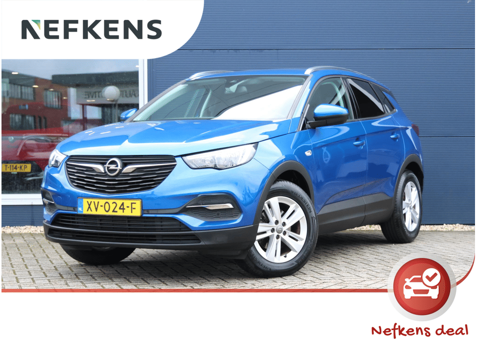 Opel Grandland X 130pk Business + - Afbeelding 1