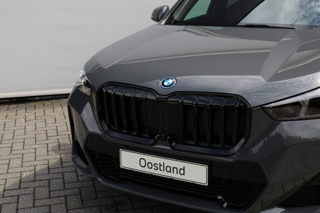 BMW X1 10