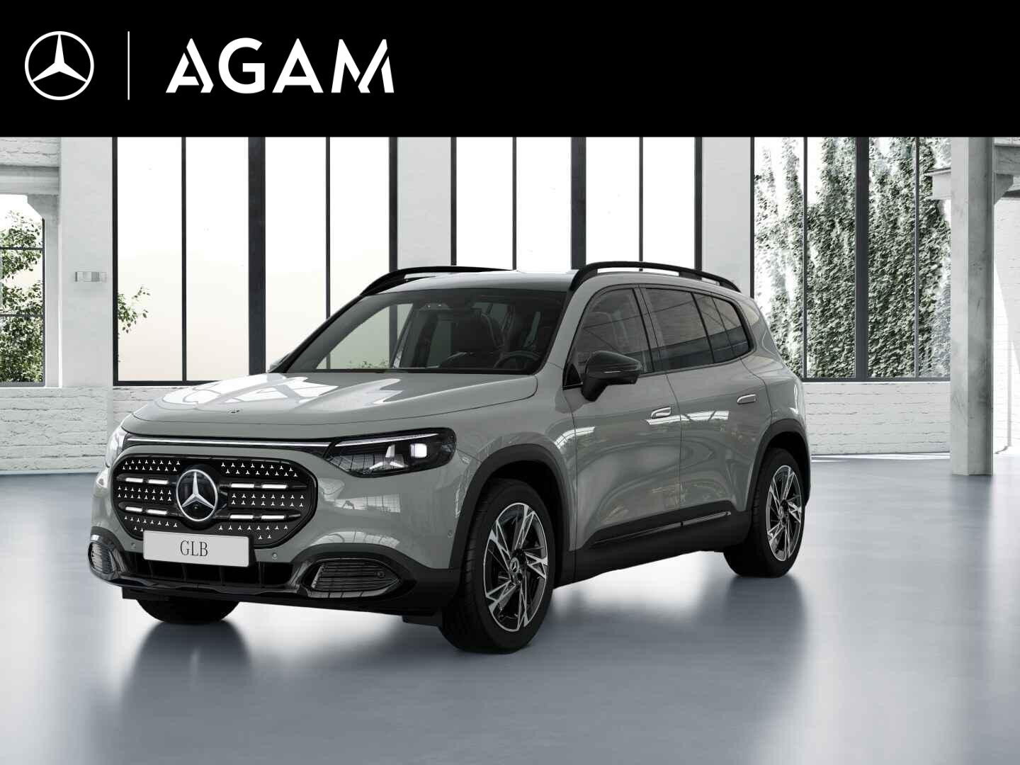 Mercedes-Benz GLB electric 250+ Business Solution Luxury 85.5 kWh
