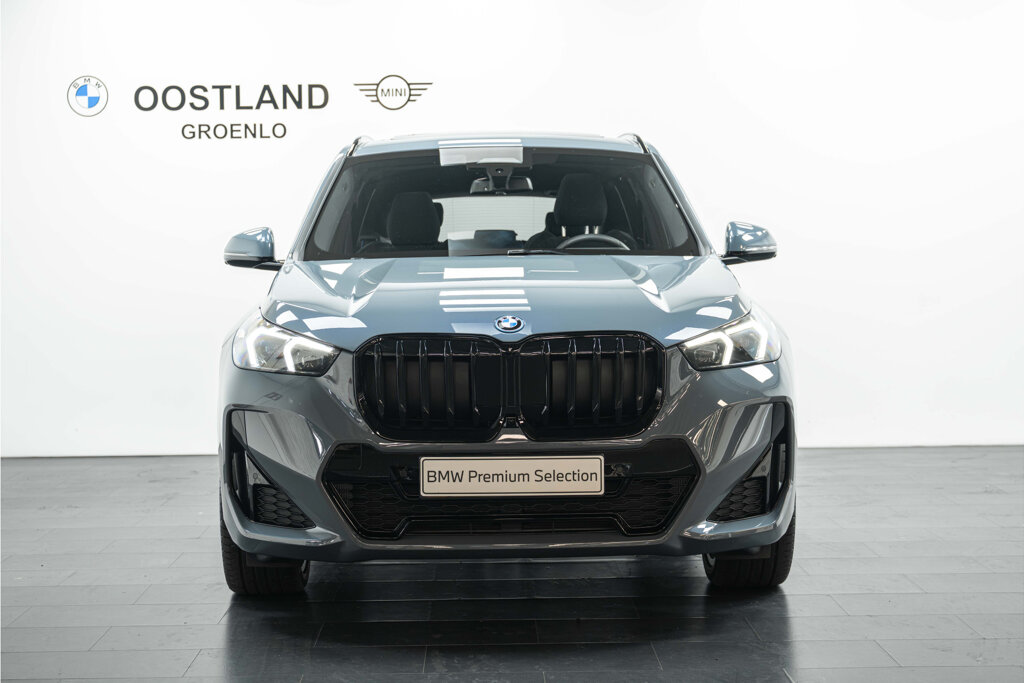 BMW X1 10
