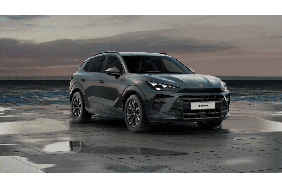 CUPRA Terramar Business - Afbeelding 1