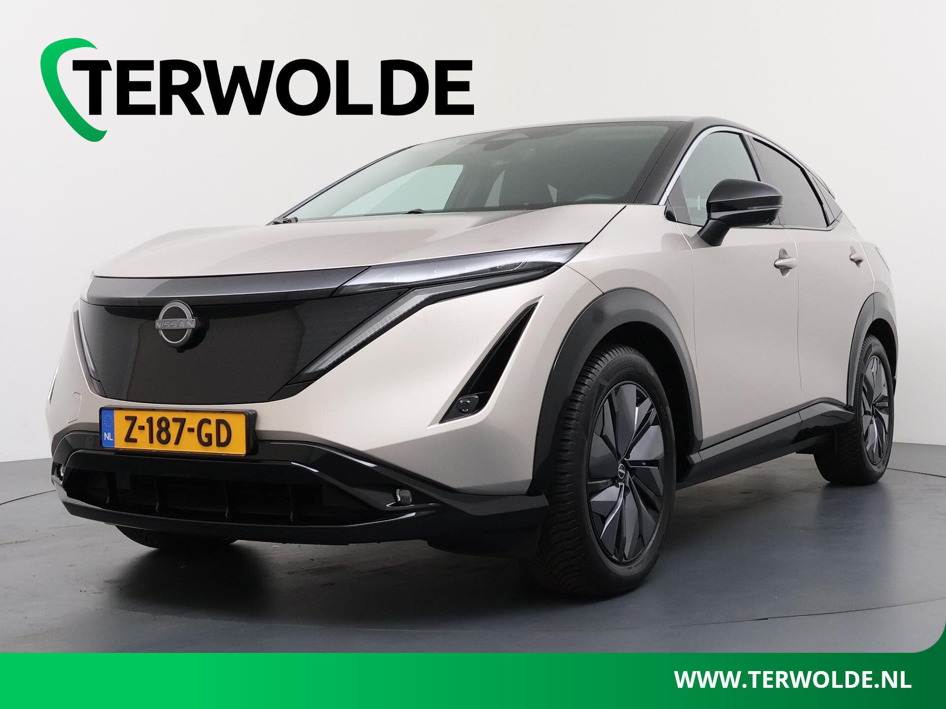 Nissan ARIYA Advance 91 kWh