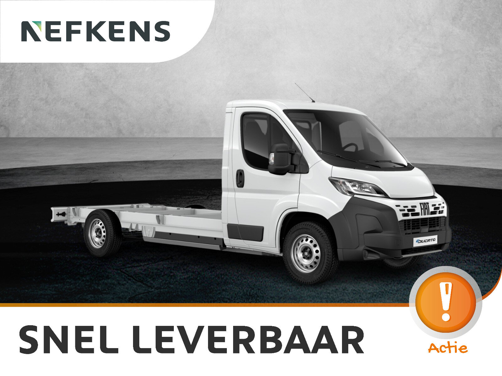 Fiat Ducato Professional Cargo Box met achterdeuren