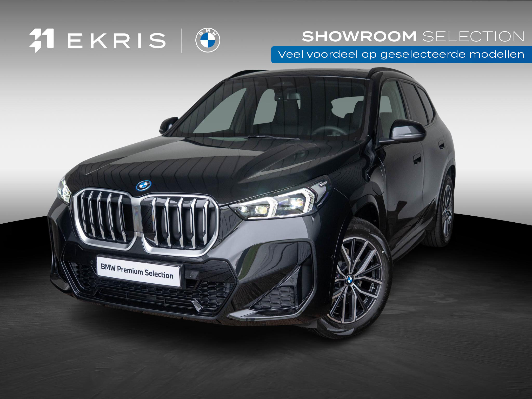 BMW X1 xDrive25e