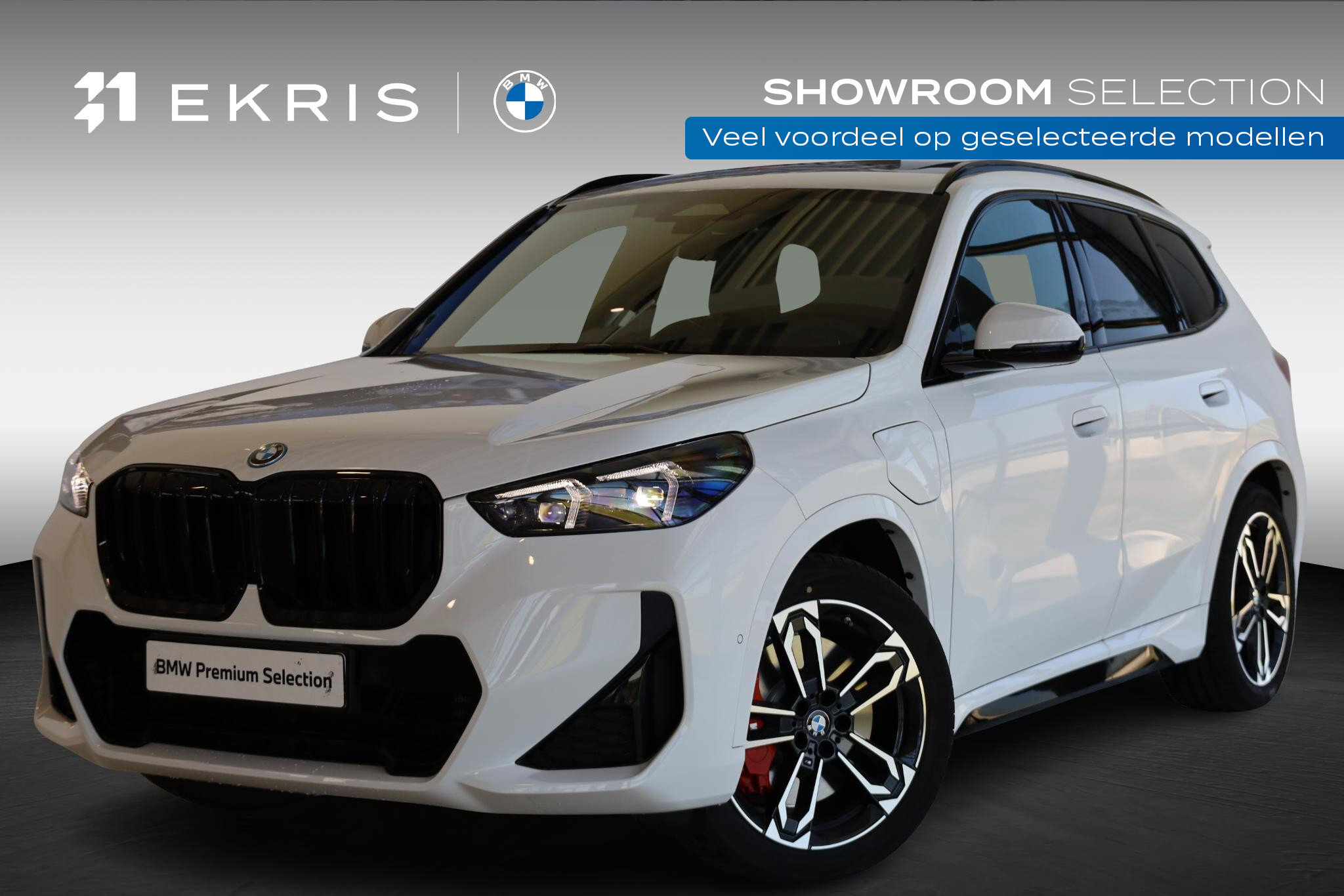 BMW X1 xDrive25e