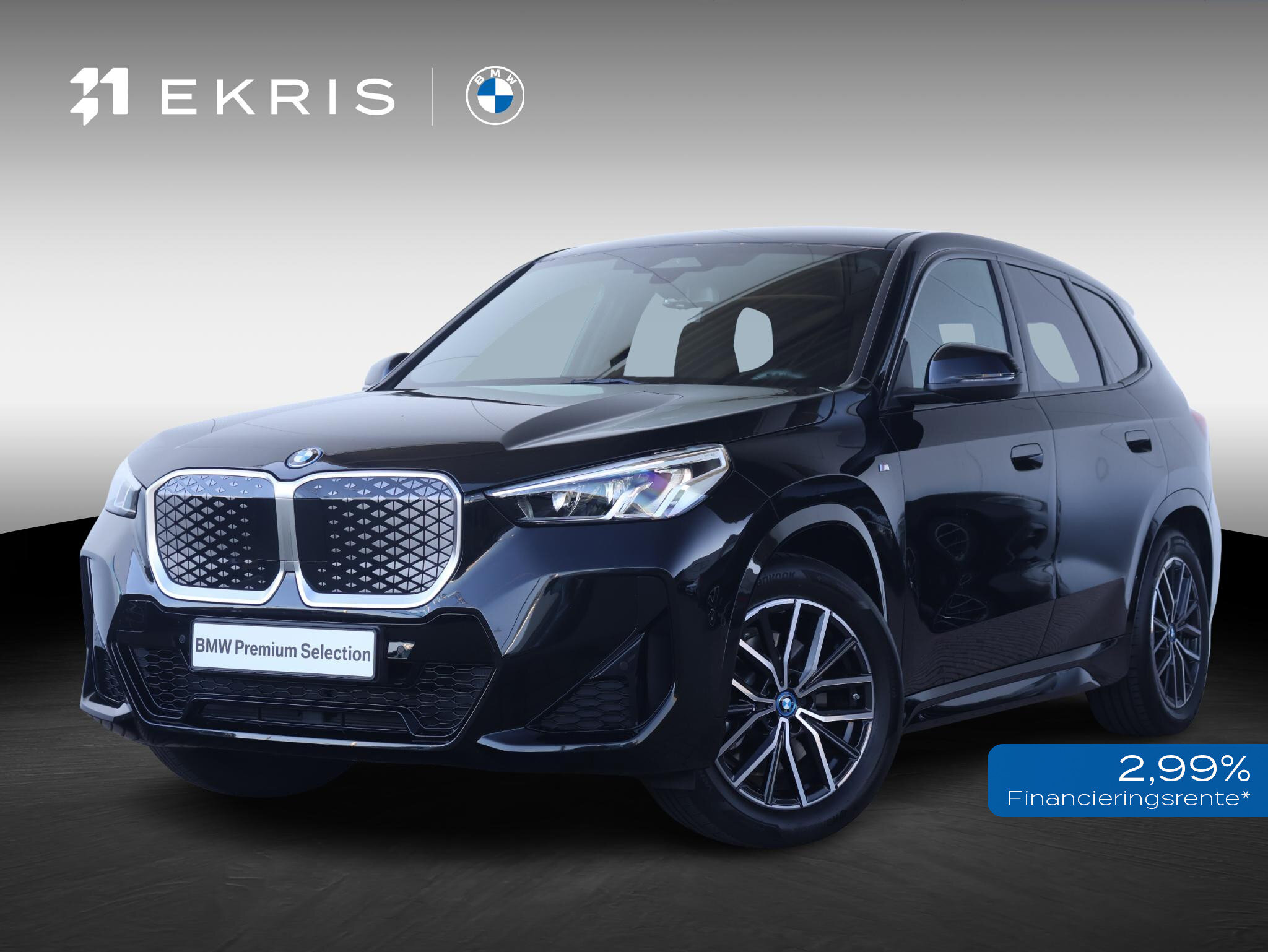 BMW iX1 xDrive30 67 kWh
