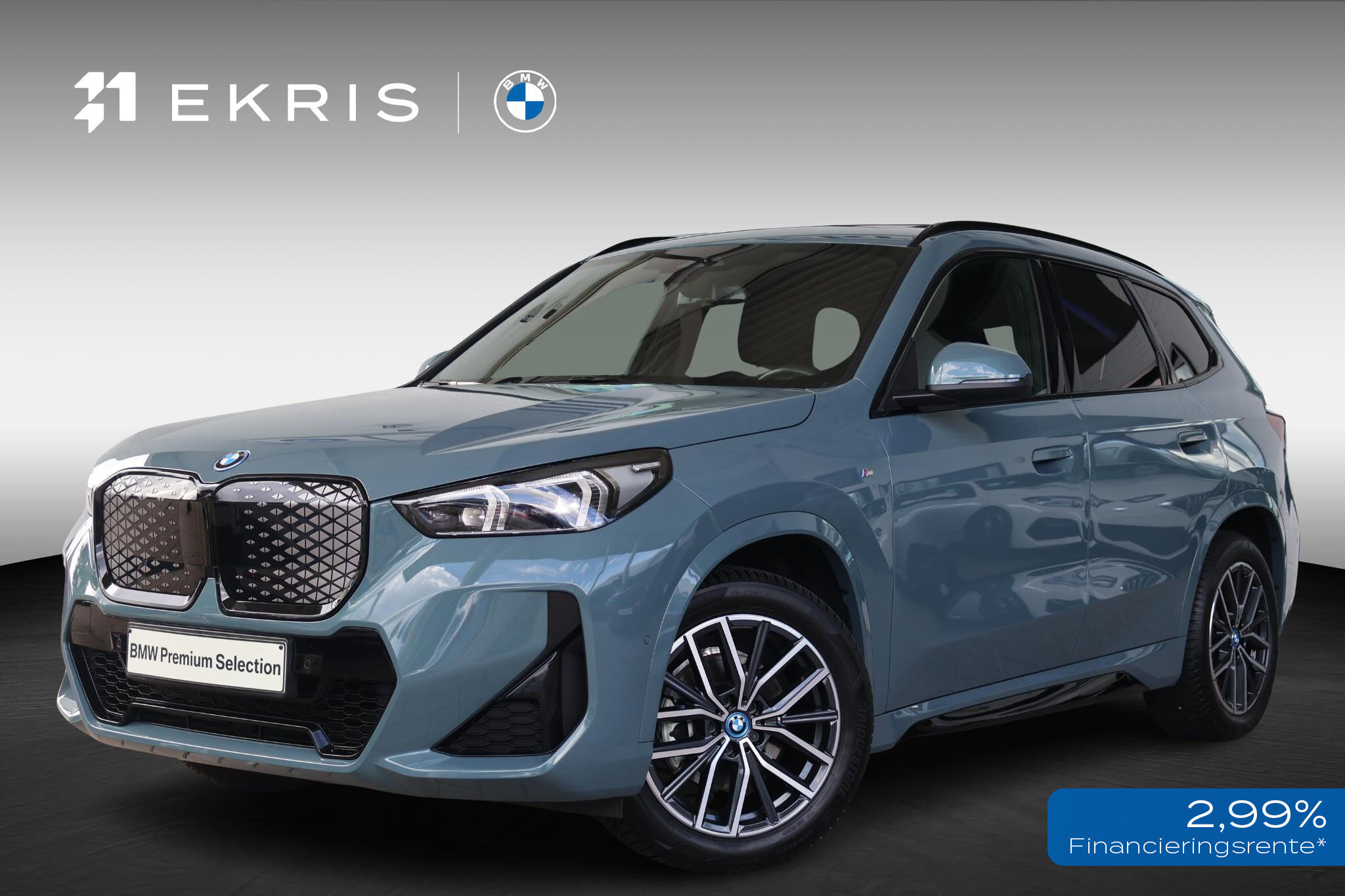 BMW iX1 eDrive20 67 kWh