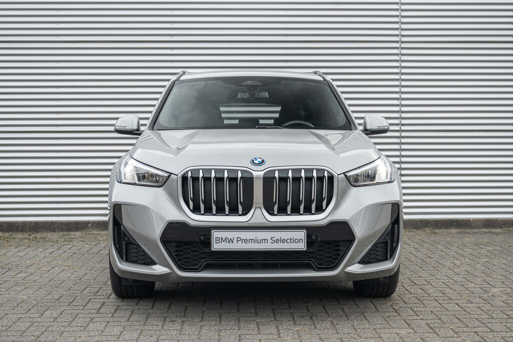 BMW X1 9
