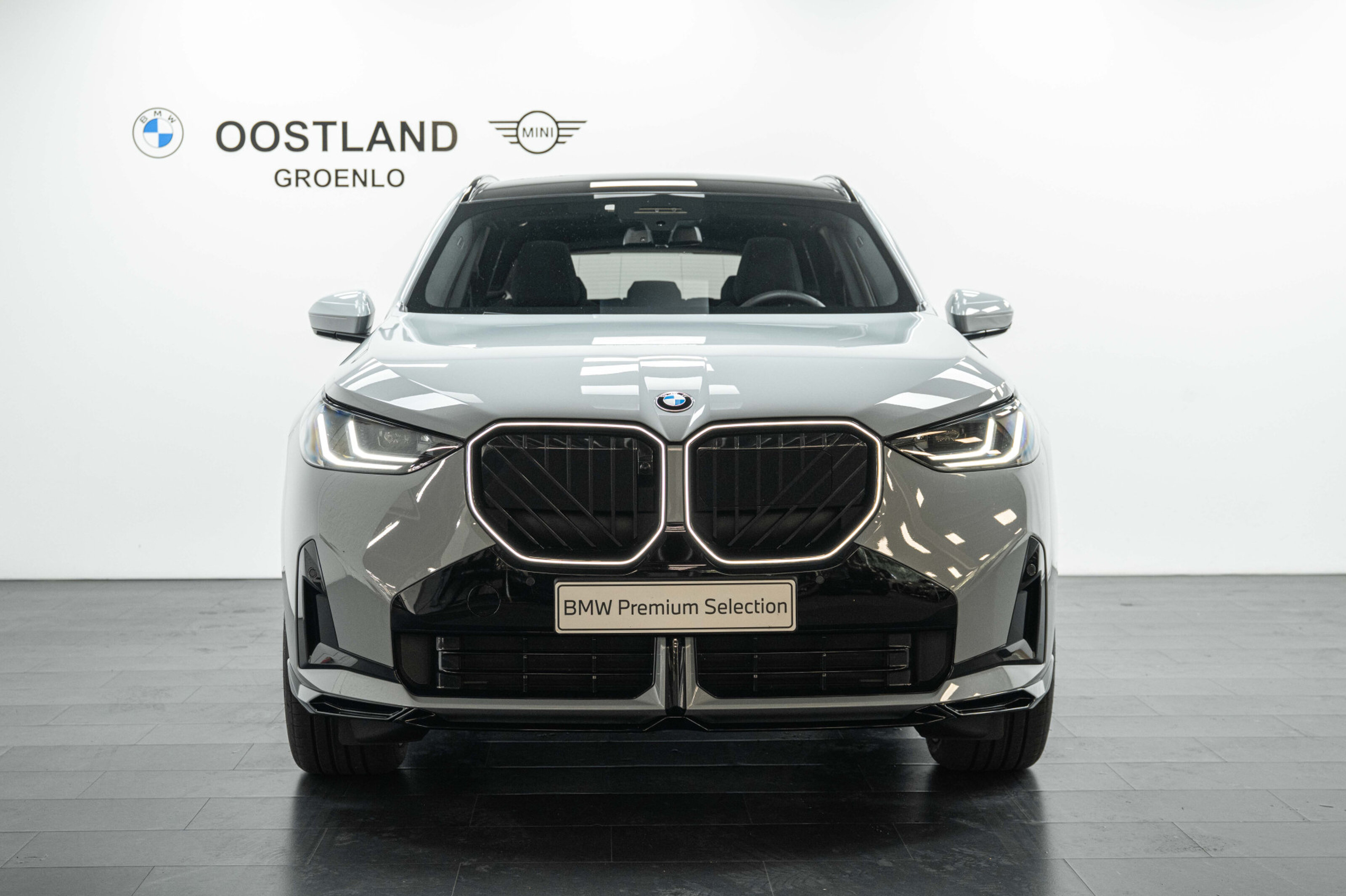 BMW X3 8