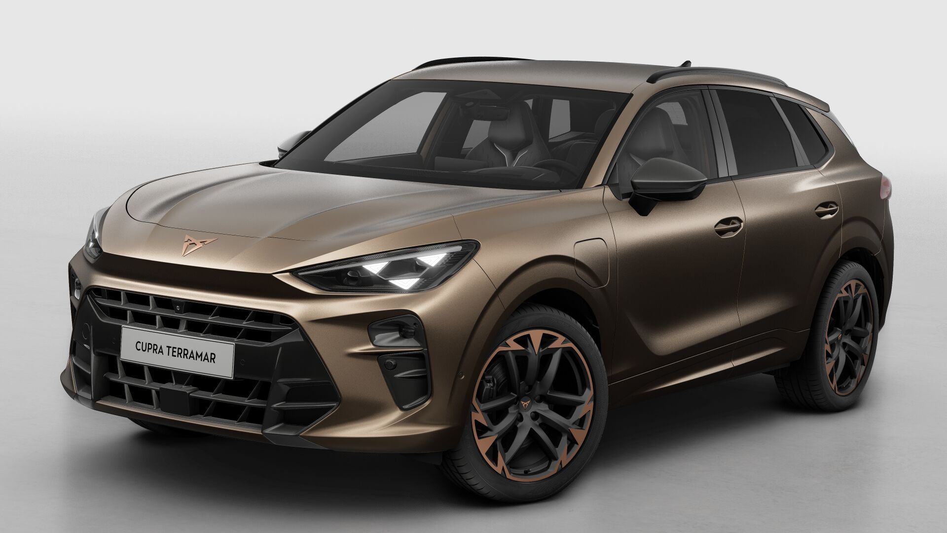 CUPRA Terramar Business - Afbeelding 2