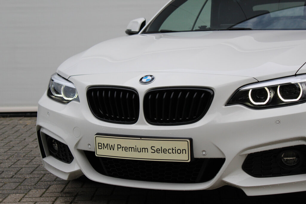 BMW 2 Serie 10