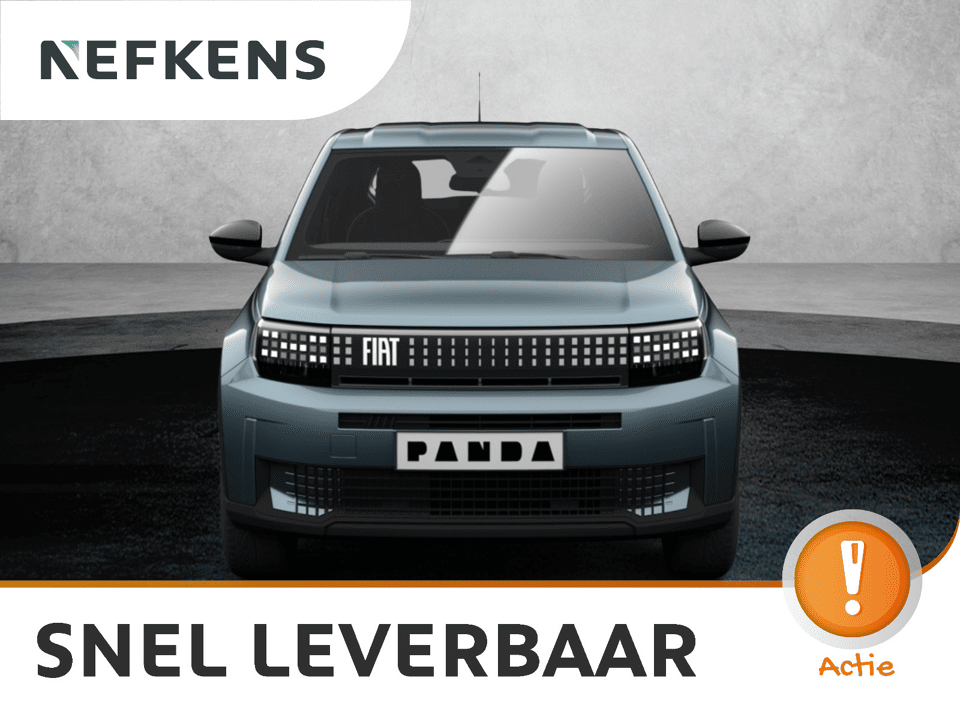 Fiat Grande Panda Icon - Afbeelding 1