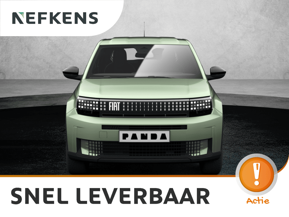 Fiat Grande Panda Icon - Afbeelding 1