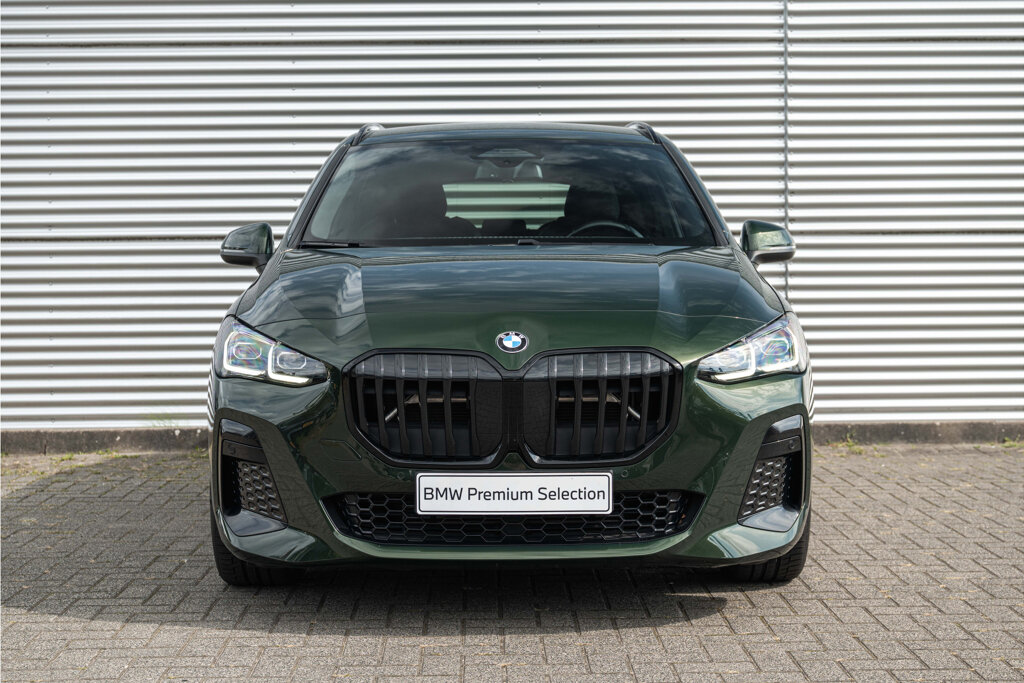 BMW 2 Serie 10