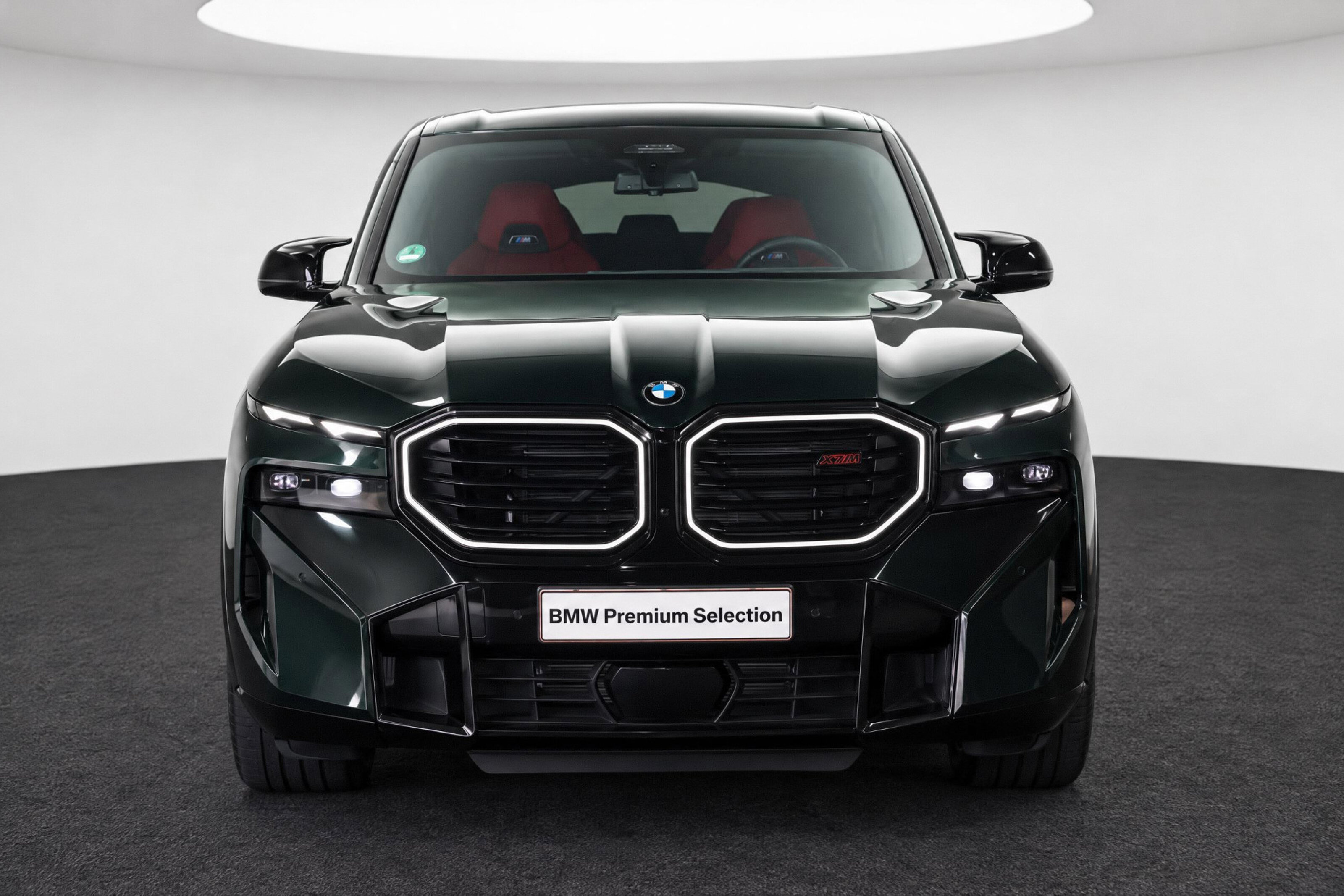 BMW XM PHEV Automaat