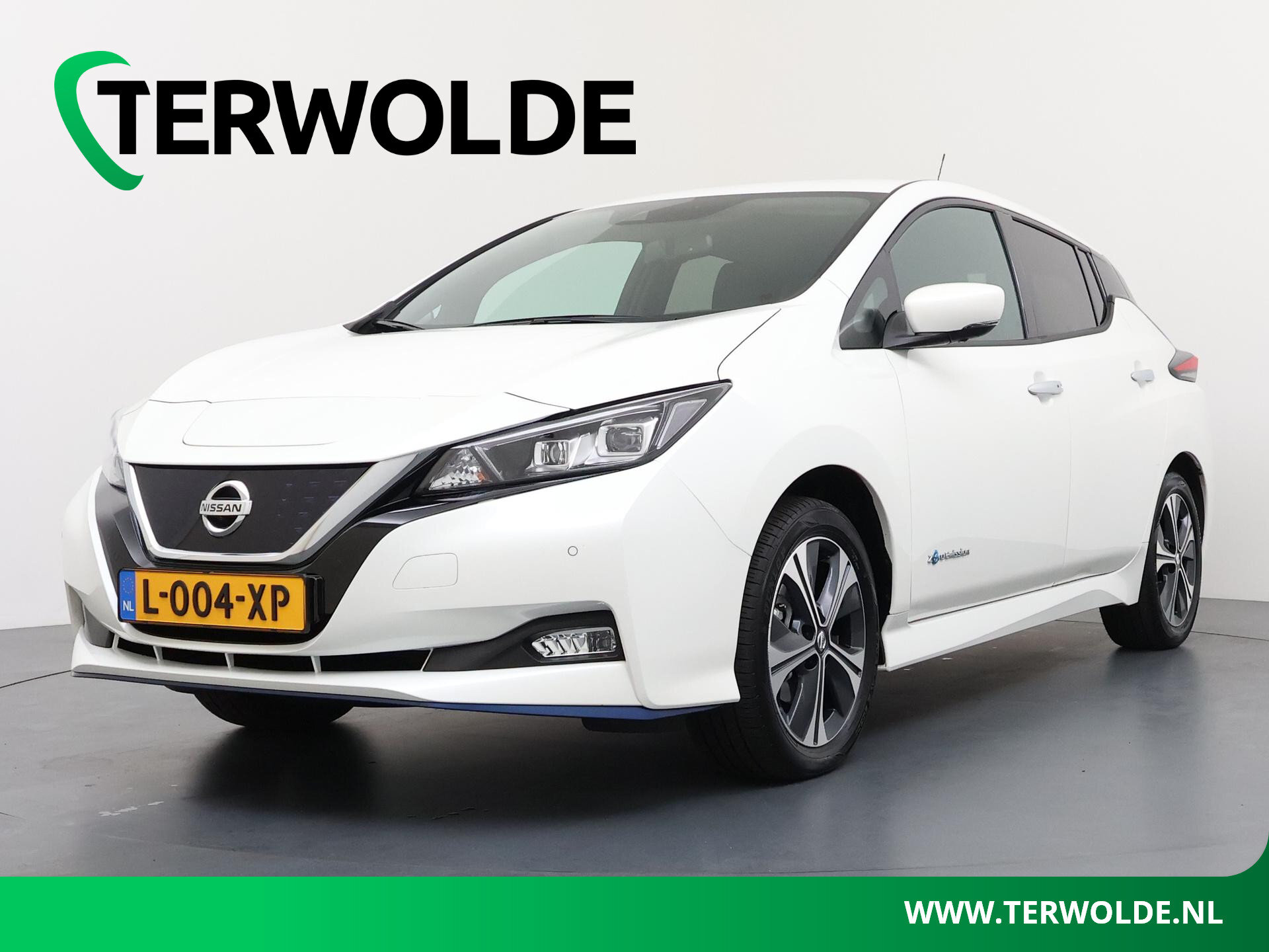 Nissan Leaf e+ Tekna 62 kWh