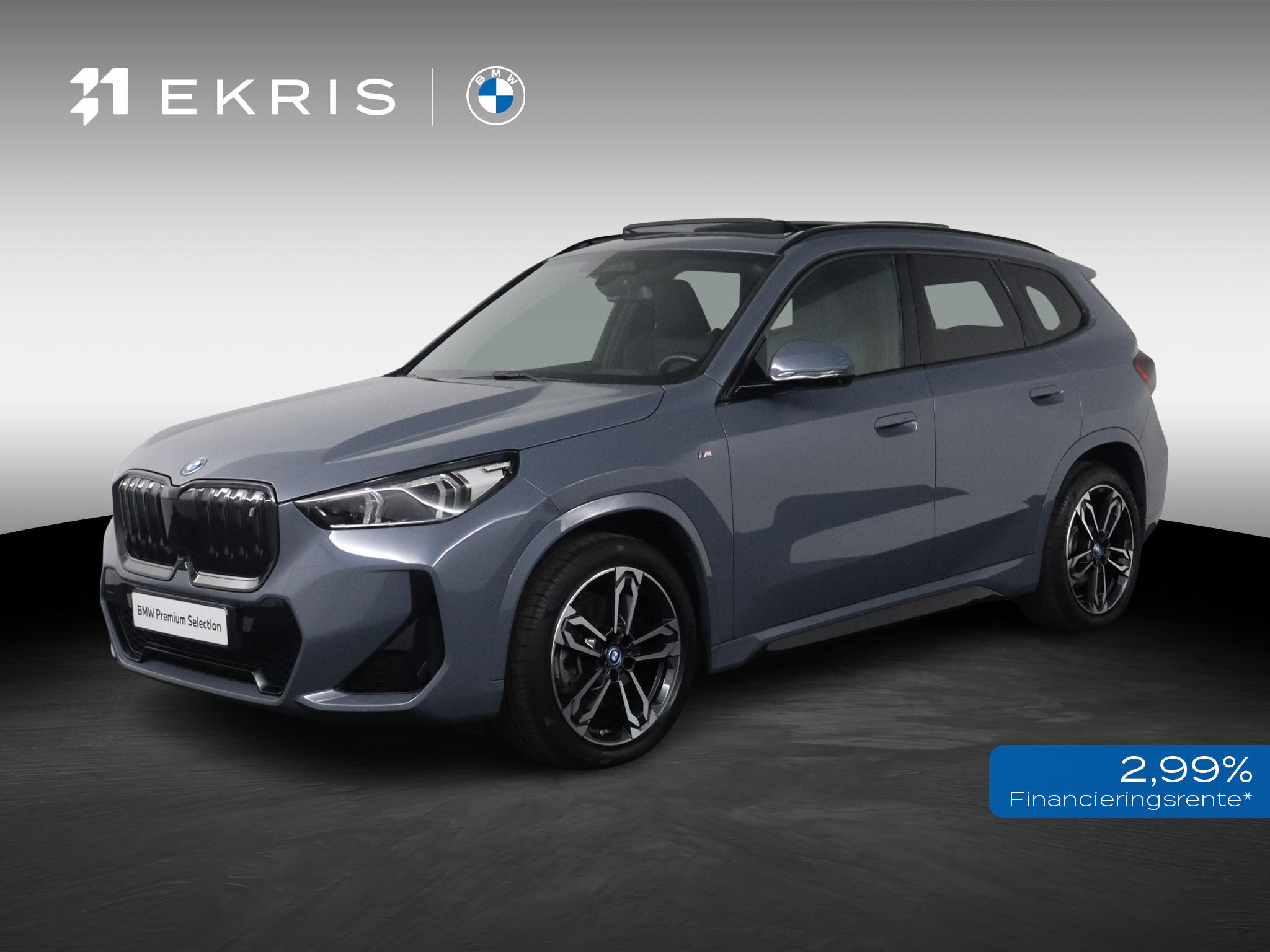 BMW iX1 xDrive30 67 kWh
