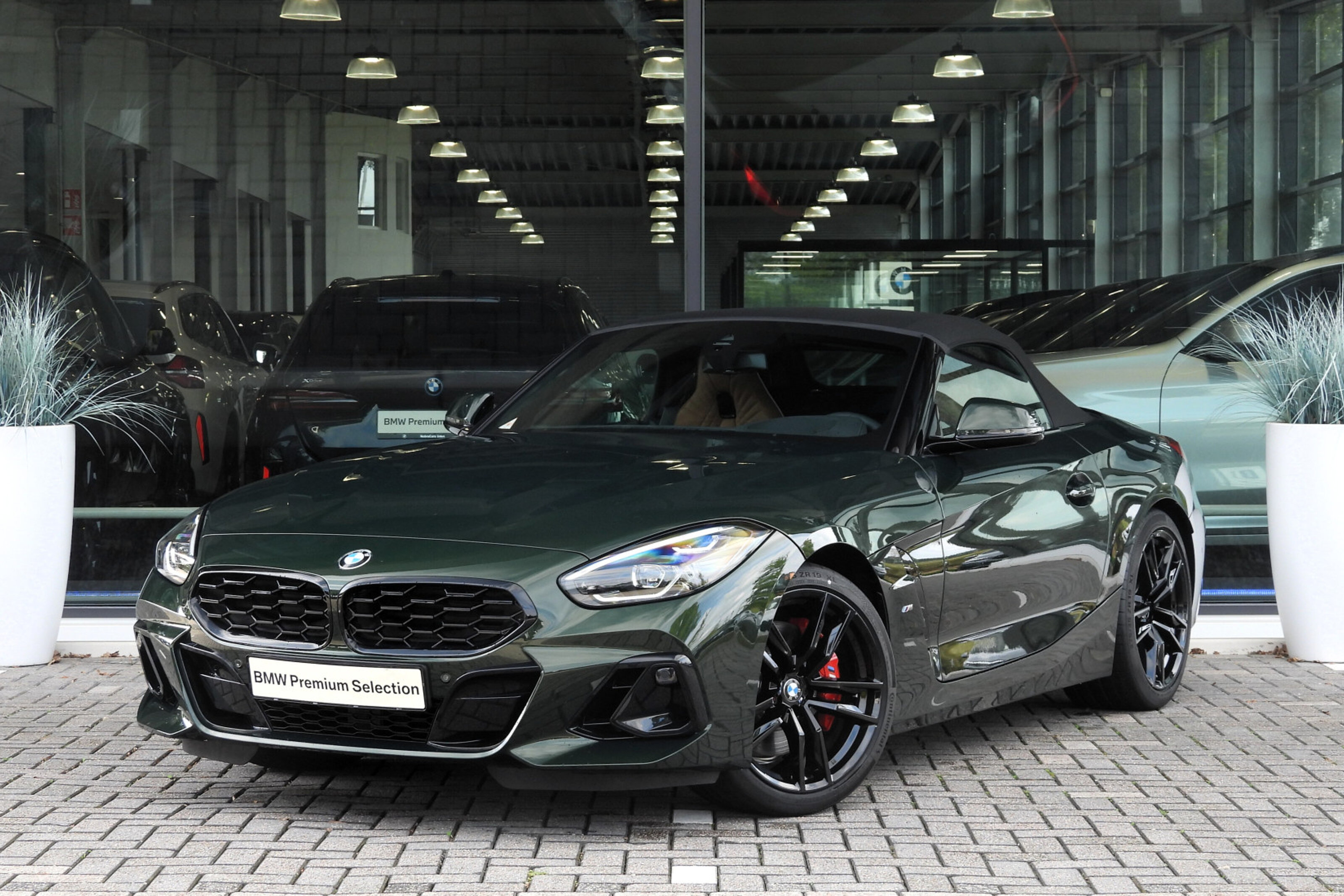 BMW Z4 6