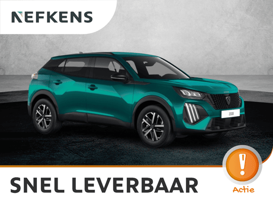 Peugeot 2008 Business