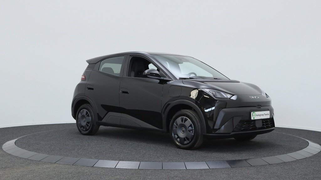 BYD DOLPHIN SURF Active 30 kWh | Navigatie - Afbeelding 3