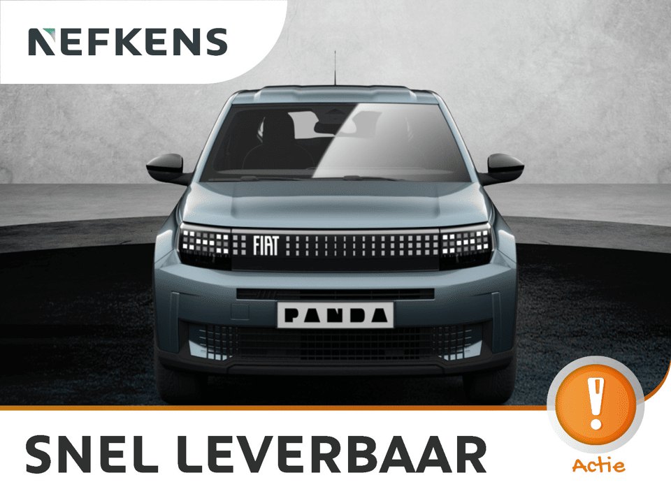 Fiat Grande Panda Icon - Afbeelding 1