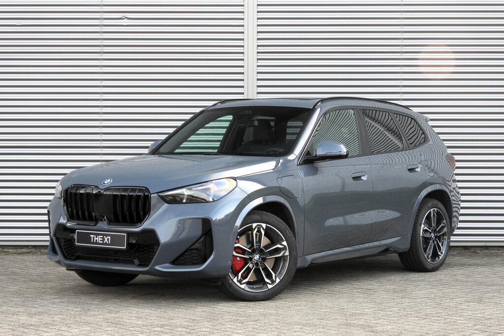 BMW X1 1