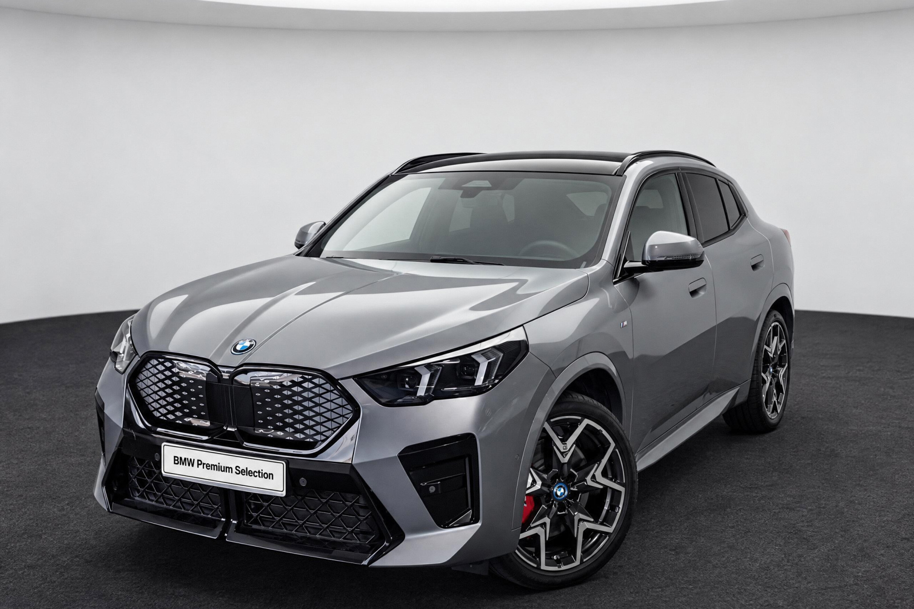 BMW iX2 xDrive30 M Sport