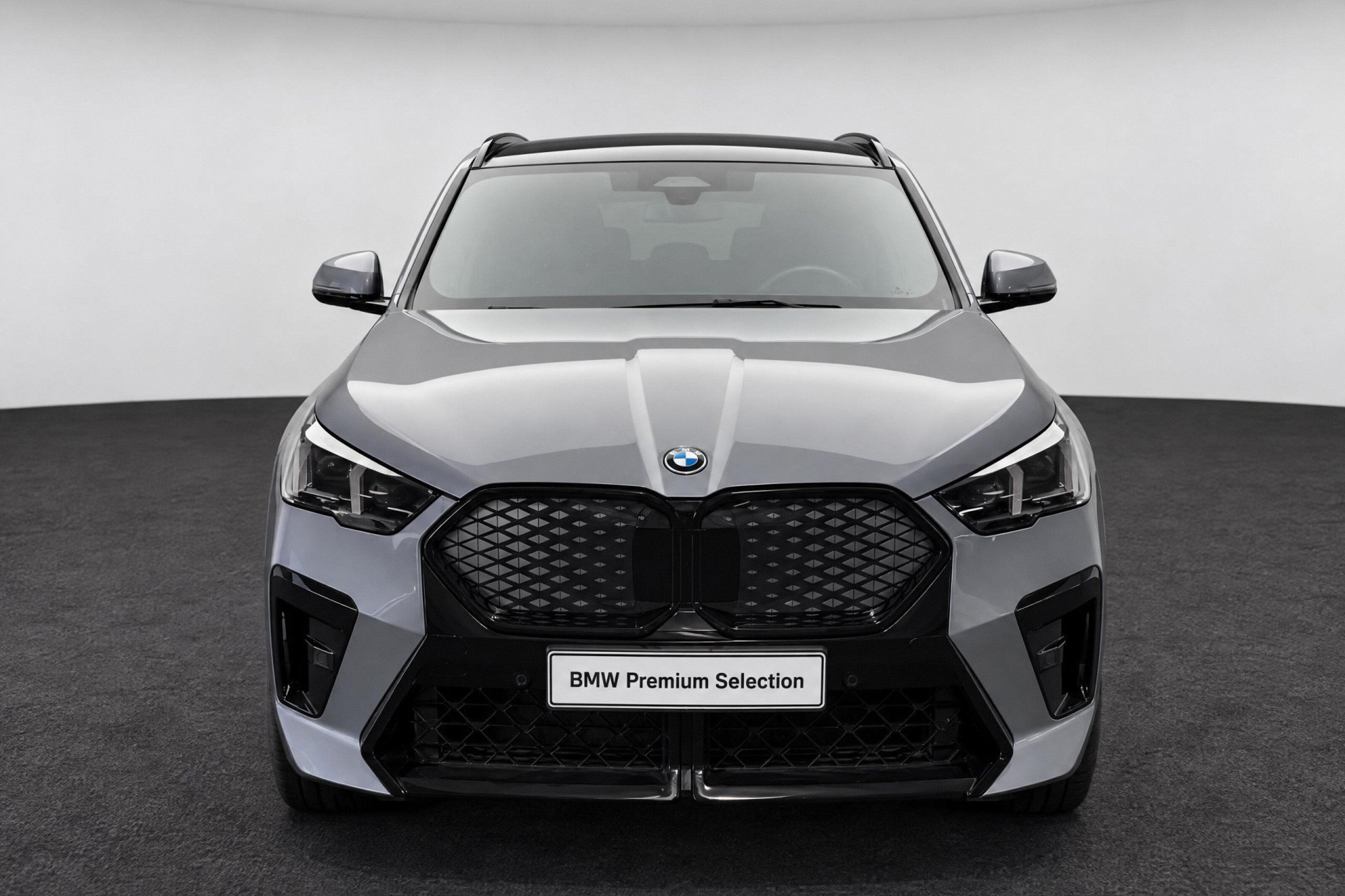 BMW iX2 xDrive30 M Sport