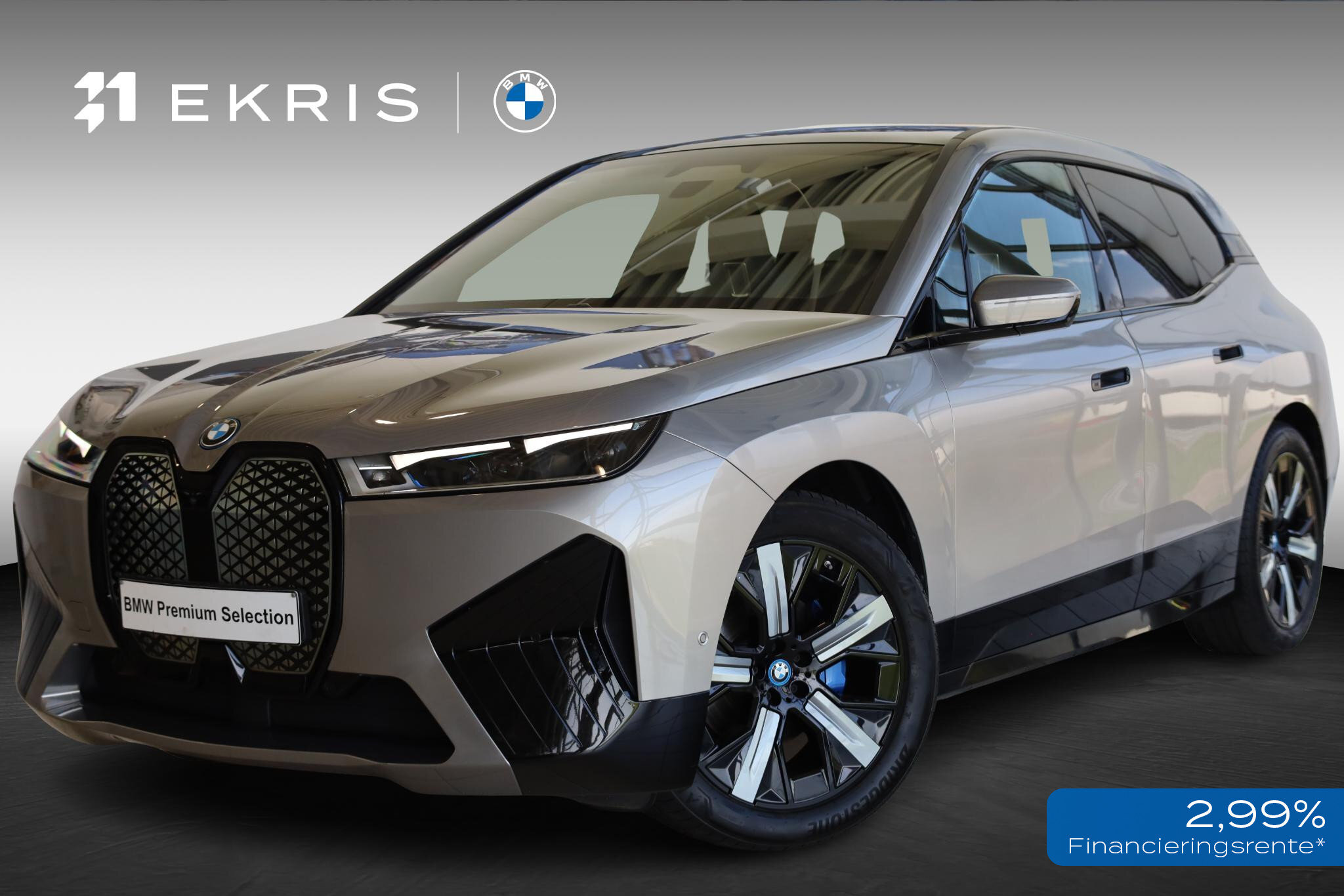 BMW iX xDrive40 Business Edition Plus 77 kWh