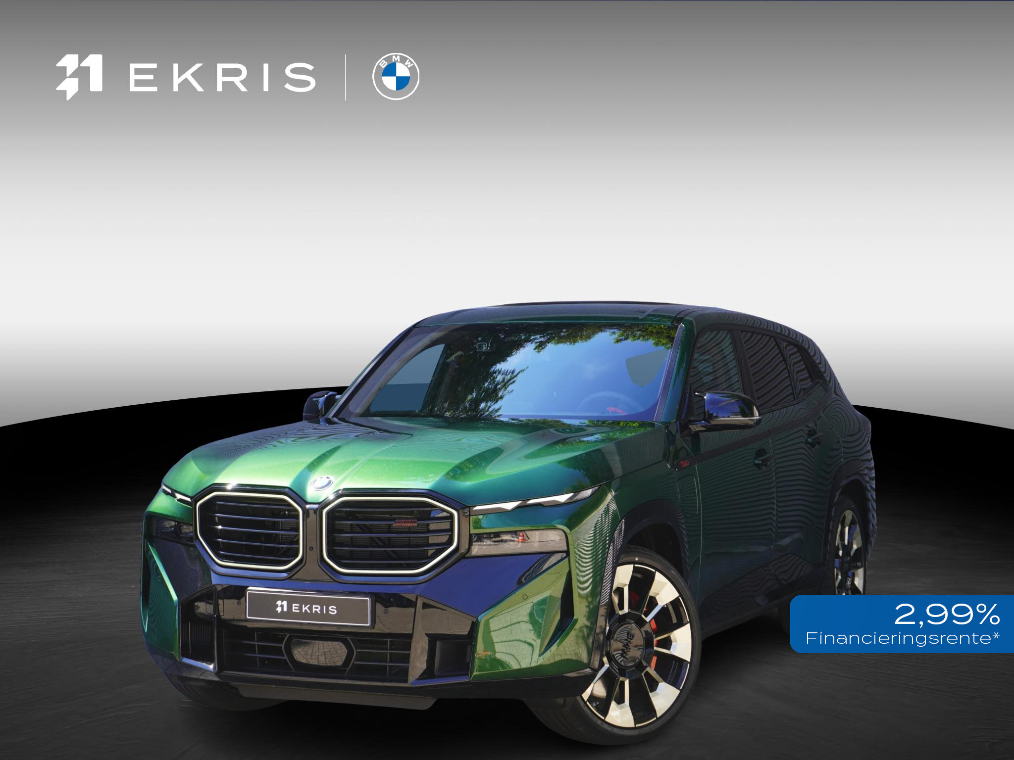 BMW XM PHEV Label